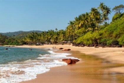 NGT admits Goa Foundation petition challenging CRZ Notification 2019