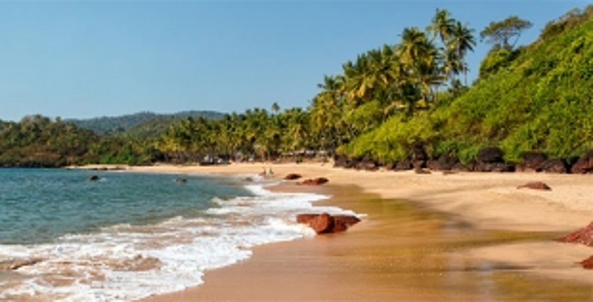 NGT admits Goa Foundation petition challenging CRZ Notification 2019