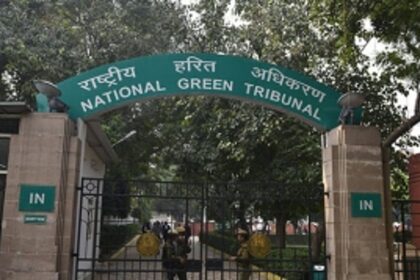 NGT directs govt to prepare  action plan for compensatory  afforestation in non-forest area