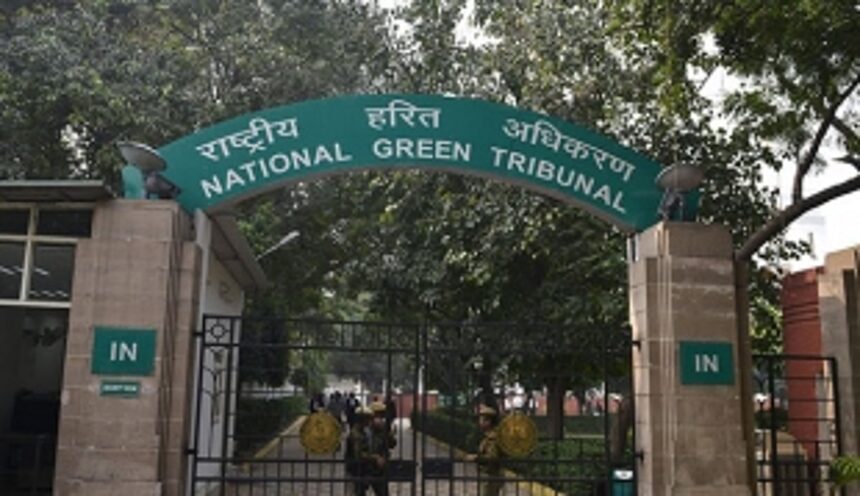NGT directs govt to prepare action plan for compensatory afforestation in non-forest area 1 NGT directs govt to prepare action plan for compensatory afforestation in non-forest area