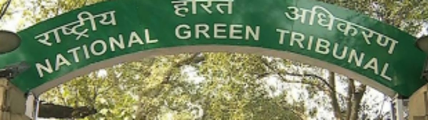 NGT dismisses plea challenging expansion of project at Usgao 1 NGT dismisses plea challenging expansion of project at Usgao