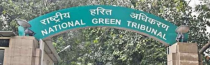 NGT disposes plea to consider village plans as draft CZMP