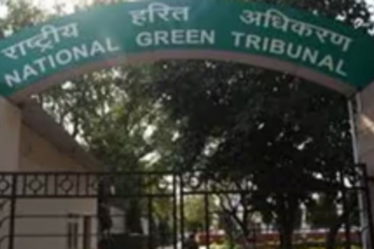 NGT expects Second Review panel will help identify pvt forest land within a year
