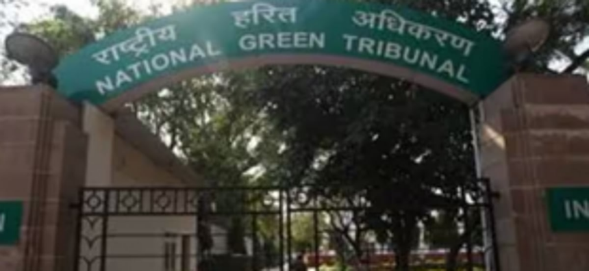 NGT expects Second Review panel will help identify pvt forest land within a year