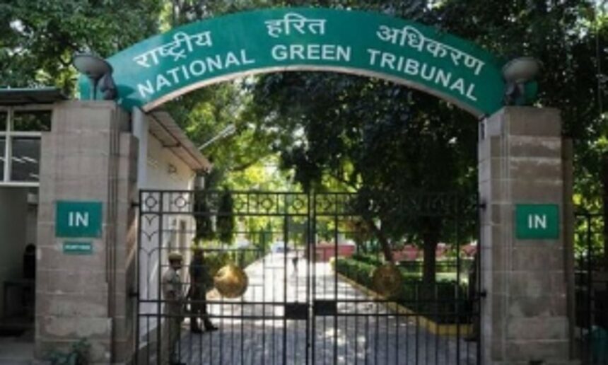 NGT gives GTDC 3-month deadline to remove illegal structures at Baina 1 NGT gives GTDC 3-month deadline to remove illegal structures at Baina