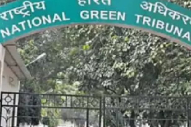 NGT order has vindicated  our stand, says CVF