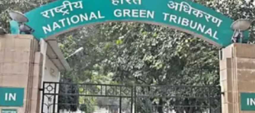 NGT order has vindicated  our stand, says CVF