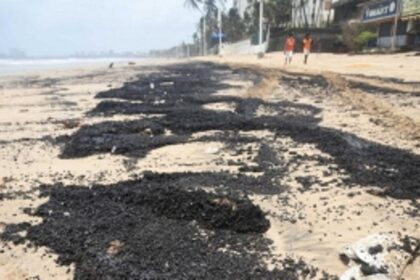 NGT panel says ‘impossible’ to find exact source of tar balls