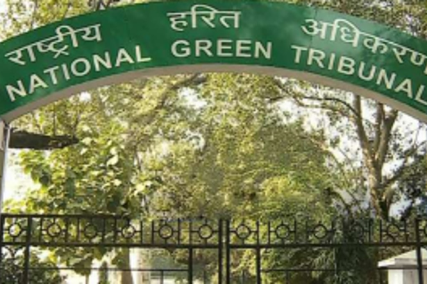 NGT quashes GSPCB order  on Rs 4.37L compensation