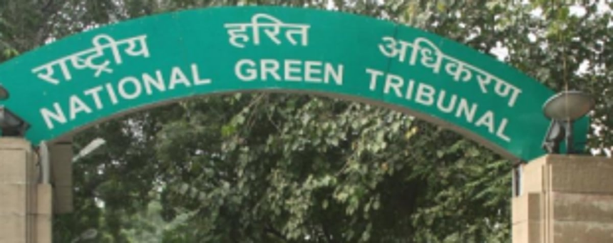 NGT refuses relief to Arpora night market from demolition order
