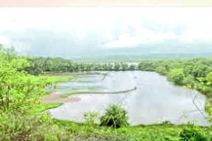 NGT reserves order in Borim farmers plea against Loutolim -Borim bridge