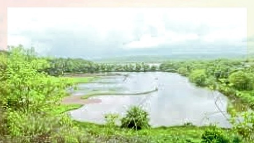 NGT reserves order in Borim farmers plea against Loutolim -Borim bridge 1 NGT reserves order in Borim farmers plea against Loutolim -Borim bridge