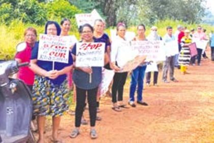 NGT to hear farmers’ and fishers’ plea against new Borim bridge