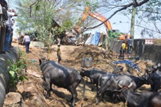 NHAI officials demolish the illegal cowsheds