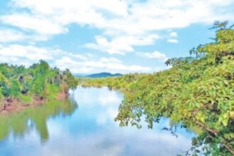 NIH, Roorkee conducts  salinity study in Mhadei  on Goa’s request