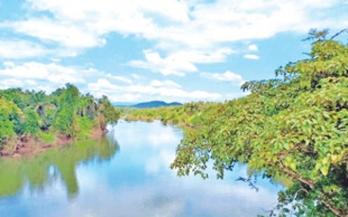 NIH, Roorkee conducts  salinity study in Mhadei  on Goa’s request