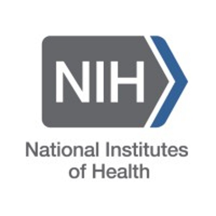 NIH-Roorkee to  study flood patterns
