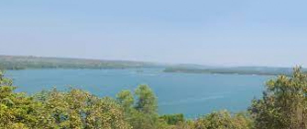 NIO has completed study on Chapora River: Govt to HC