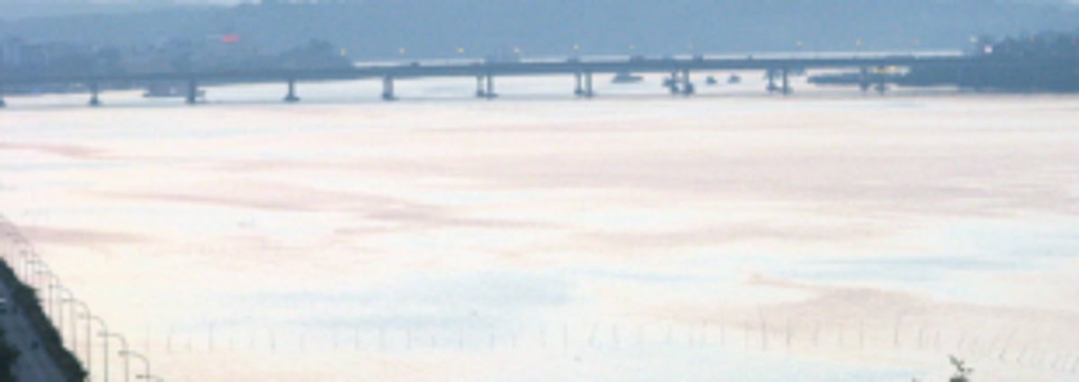 NIO report on River Mandovi expected in Oct