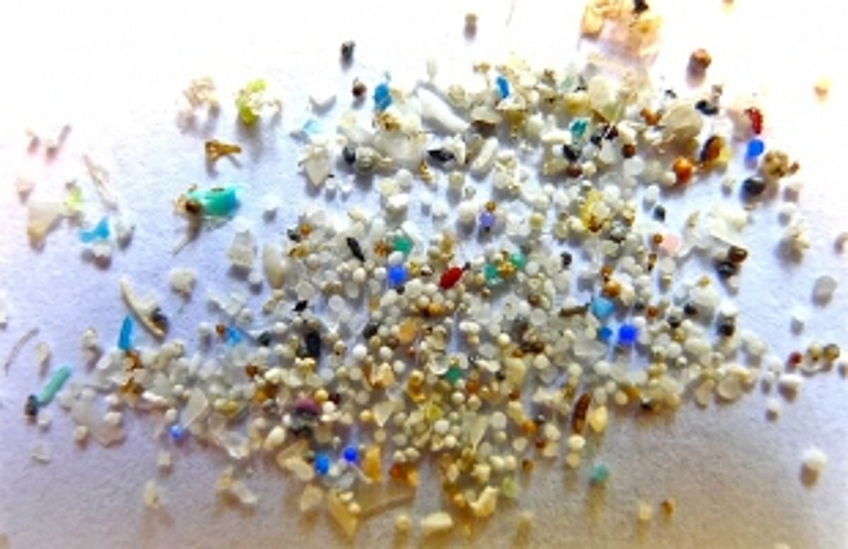 NIO study finds substantial concentration of microplastics along Eastern Arabian Sea coast