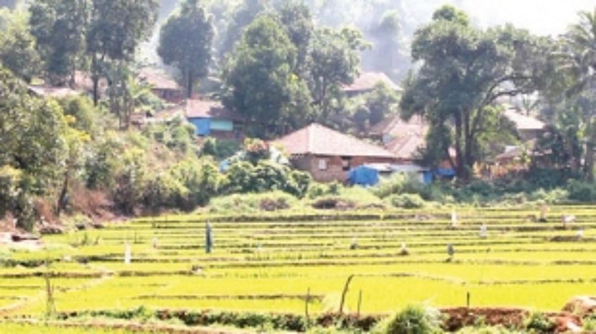 NO, we are not going to move