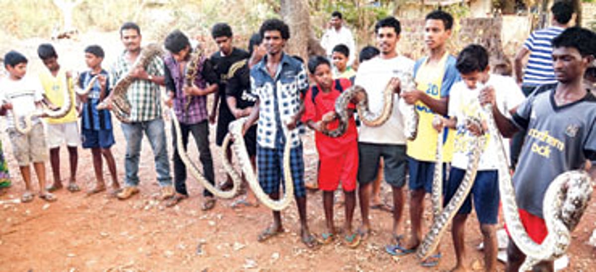 NOT ONE, SEVEN AT A TIME