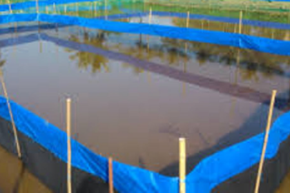 NRE proposes govt to set up model  shrimps & fin fish hatchery in Benaulim