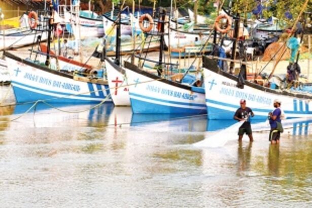 NRE wants CZMP notified  for traditional fishermen