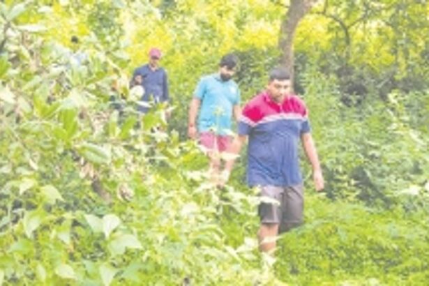 Nanoda villagers go old school, collect matoli decor from forest