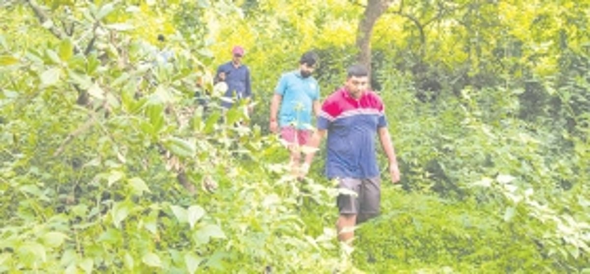 Nanoda villagers go old school, collect matoli decor from forest