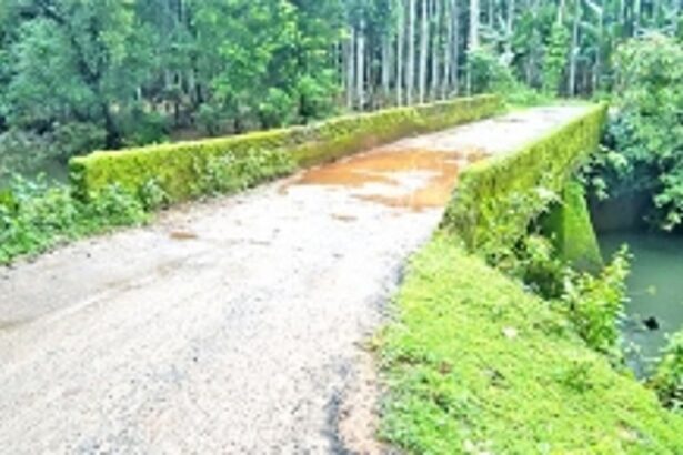 Narrow and weakened  bridge poses safety  threat in Patwal-Khotoda