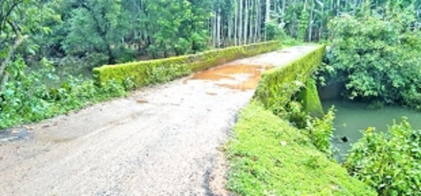 Narrow and weakened bridge poses safety threat in Patwal-Khotoda