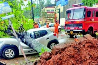 Narrow escape for couple as tree crashes on parked car