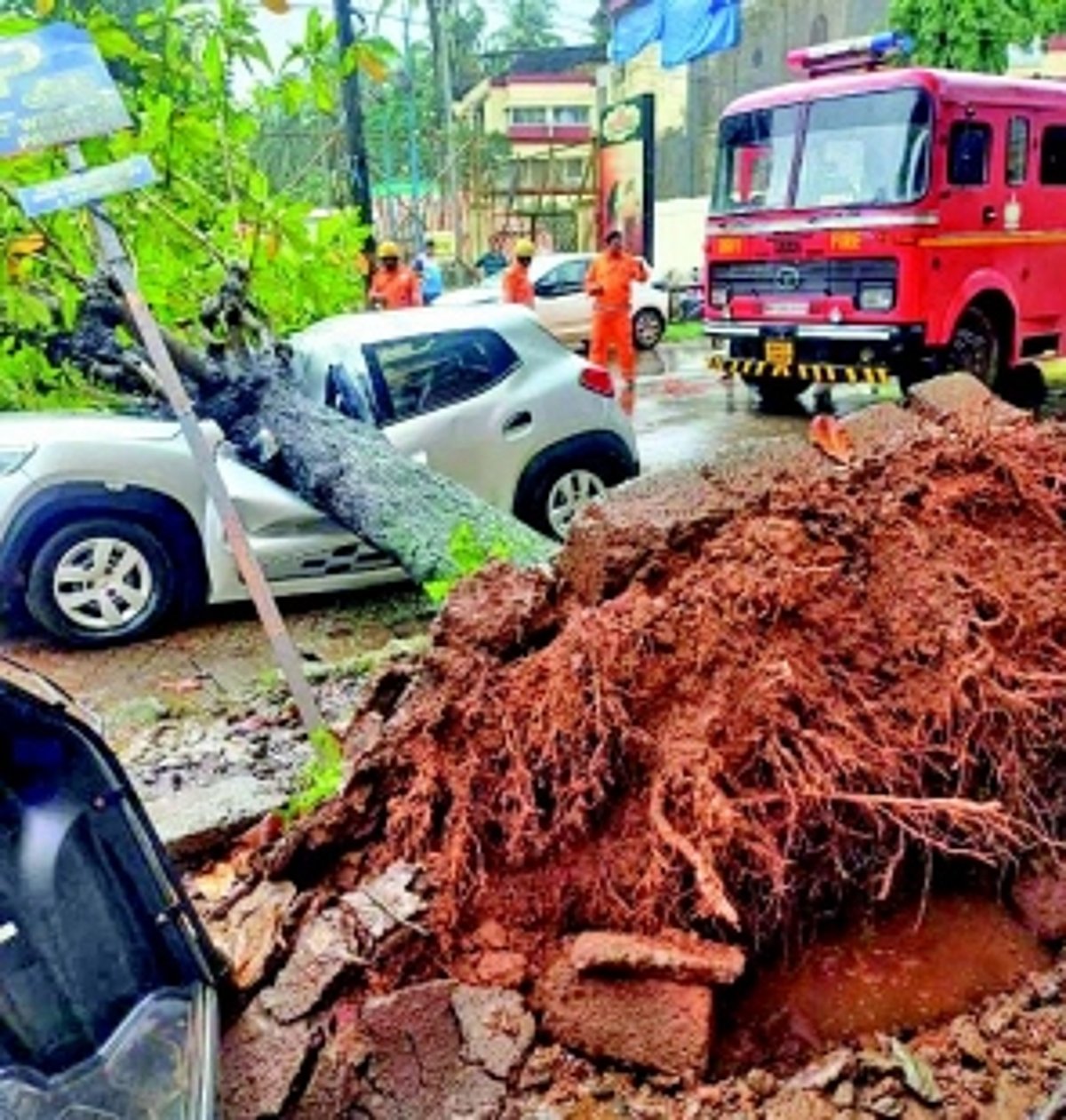Narrow escape for couple as tree crashes on parked car