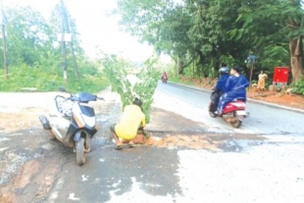 Narrow escape for elderly couple after two-wheeler falls in pothole