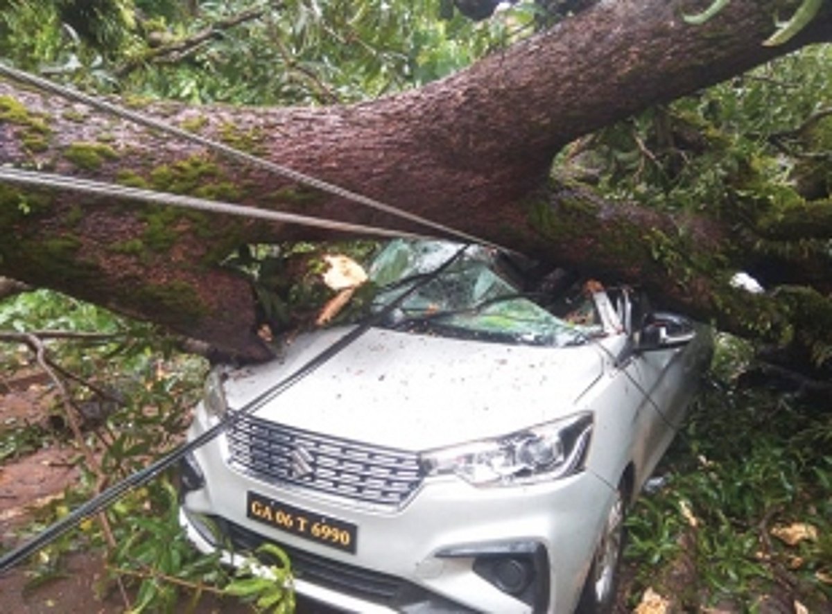 Narrow escape for family of five as tree collapses  on car in Siolim