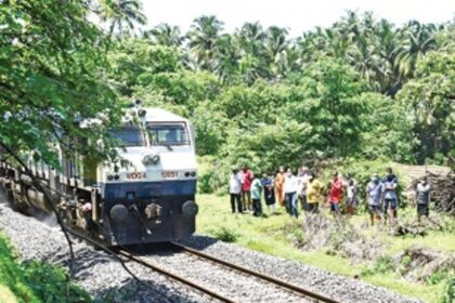 National Wildlife Board clearing double-tracking shocks MLA, NGOs