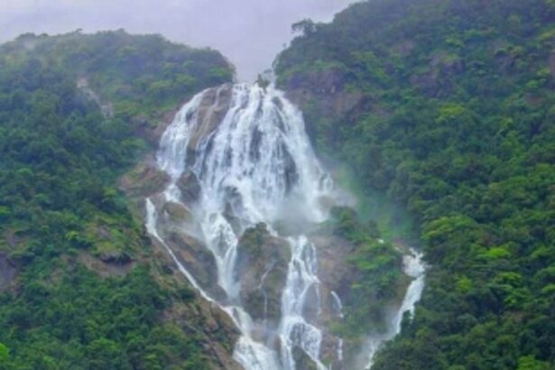 Naval divers recover body of  drowned person at Dudhsagar