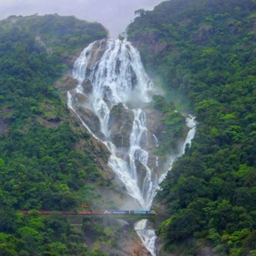 Naval divers recover body of  drowned person at Dudhsagar