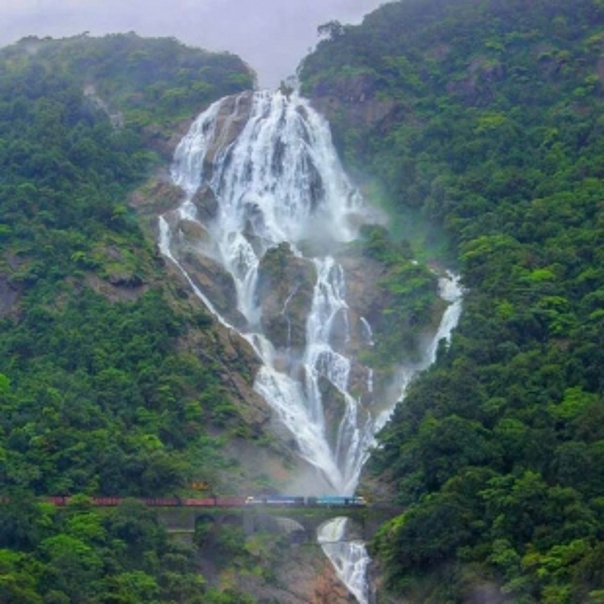 Naval divers recover body of  drowned person at Dudhsagar