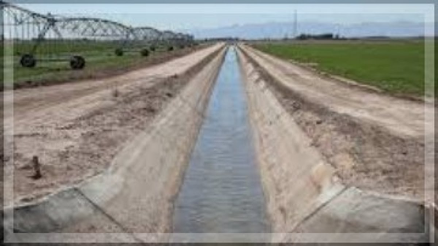 Navelim Farmers Demand Removal of Defunct Canals to Boost Agriculture 1 Navelim Farmers Demand Removal of Defunct Canals to Boost Agriculture