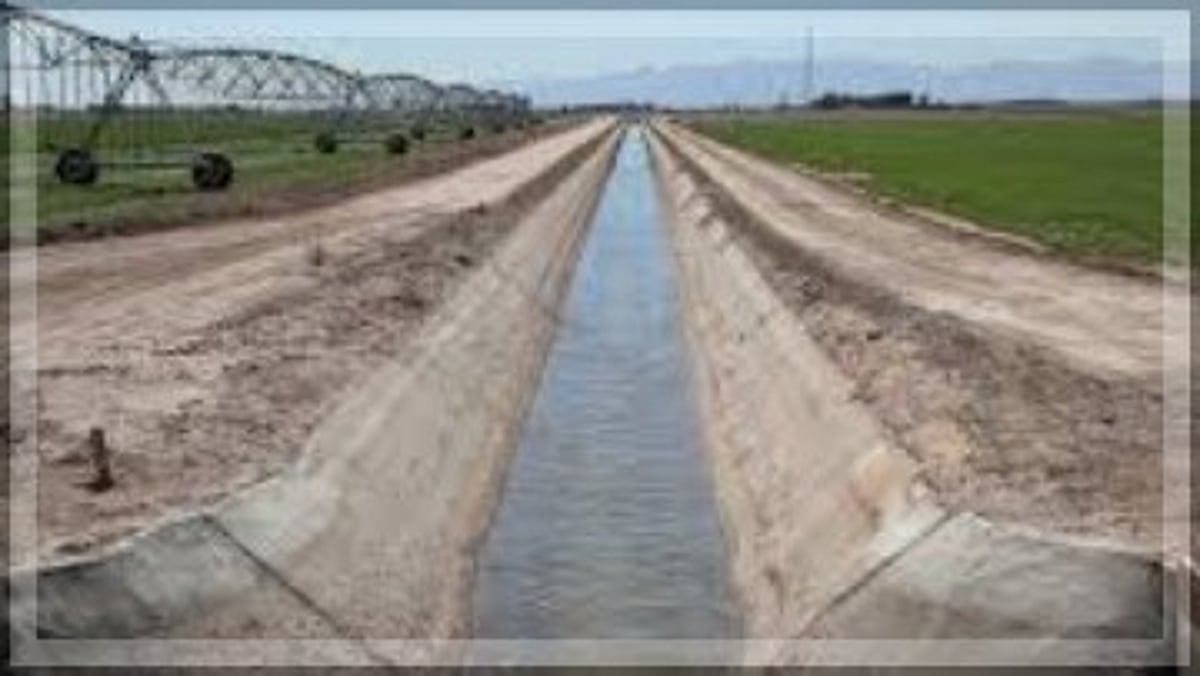 Navelim Farmers Demand Removal of Defunct Canals to Boost Agriculture