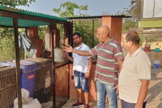 Navelim Panchayat, the torch bearer for waste management in South Goa