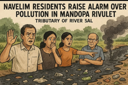 Navelim Residents Raise Alarm Over Pollution in Mandopa Rivulet, Tributary of River Sal