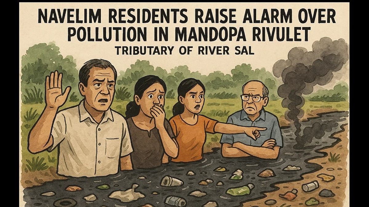 Navelim Residents Raise Alarm Over Pollution in Mandopa Rivulet, Tributary of River Sal