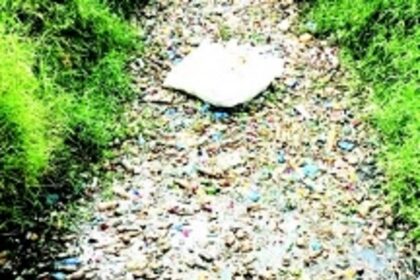 Navelim farmers livid at govt inaction as  raw sewage sullies their fields yet again