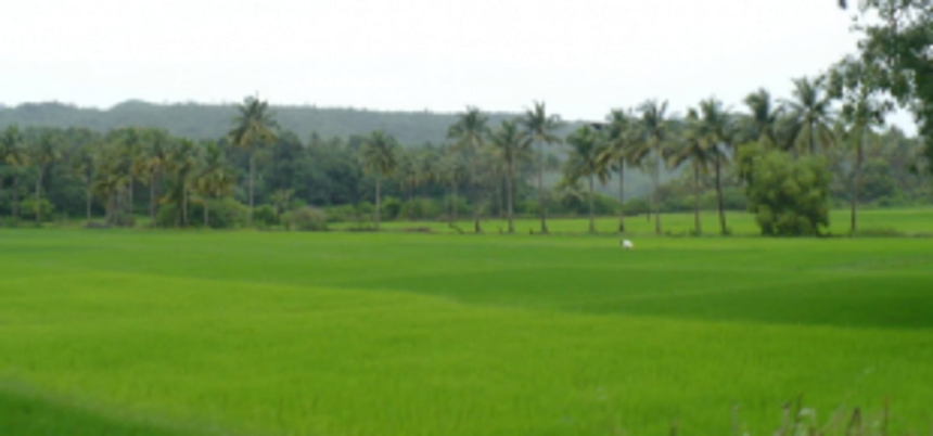 Navelim farmers object to acquisition of their fields 1 Navelim farmers object to acquisition of their fields