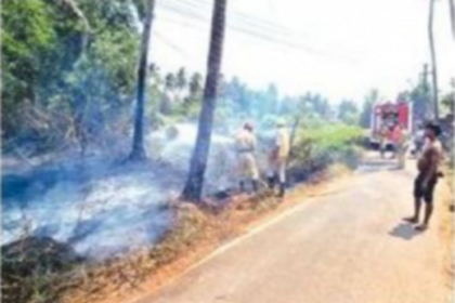 Navelim hillock blaze: Locals anguished by biodiversity loss demand probe