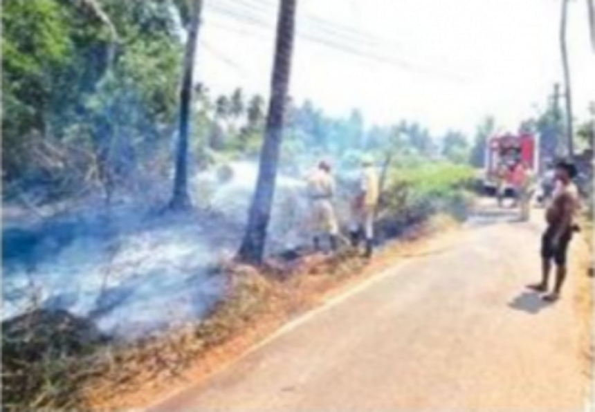 Navelim hillock blaze: Locals anguished by biodiversity loss demand probe