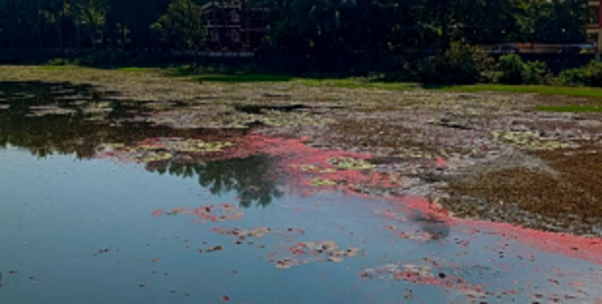 Navelim locals create awareness on River Sal pollution 1 Navelim locals create awareness on River Sal pollution